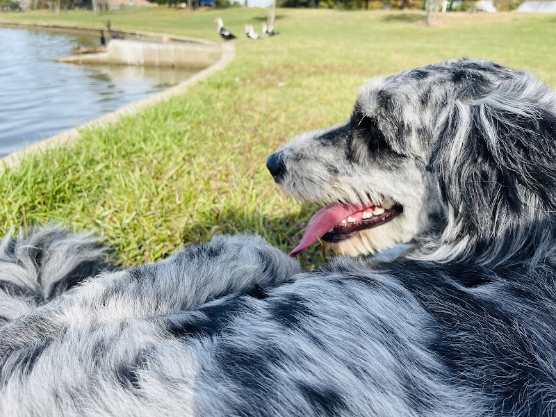 North Splash Pad & Dog Park