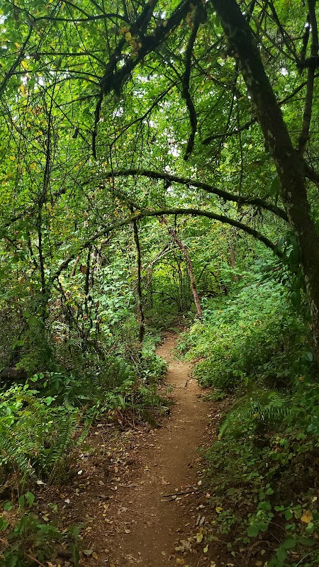 Skyline Trail