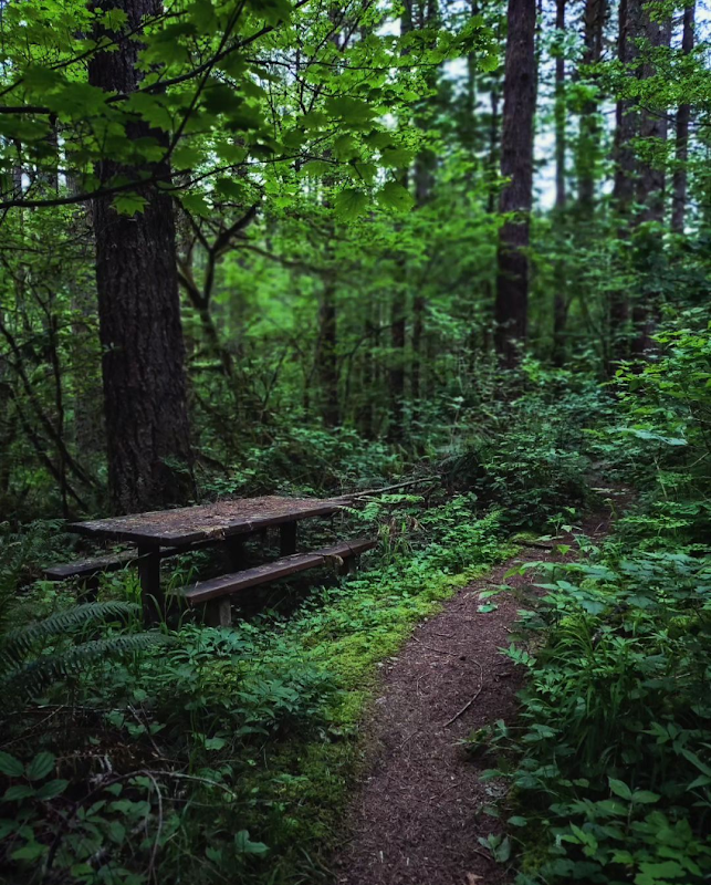 The forgotten picnic area