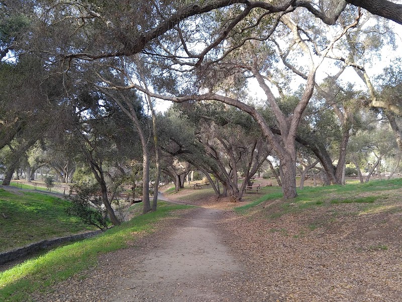 Live Oak County Park