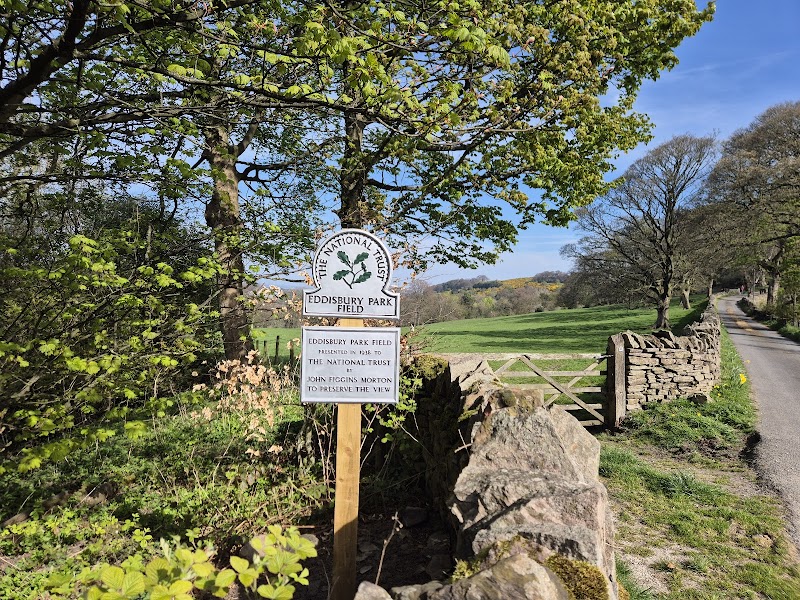 Eddisbury Park Field