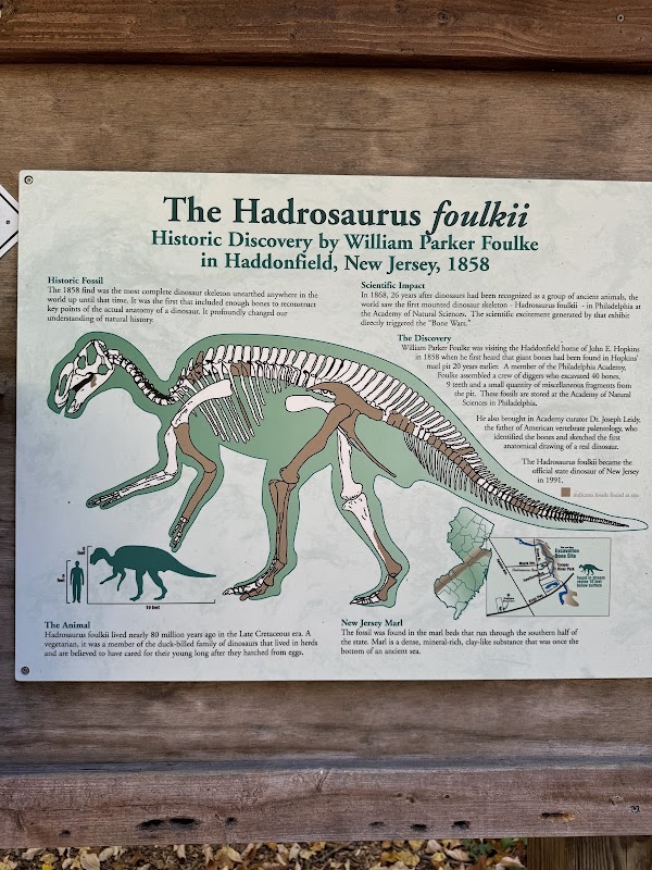 Hadrosaurus Foulki Site