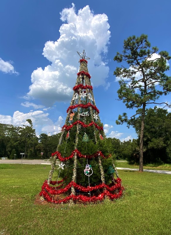 Christmas Tree & Scene
