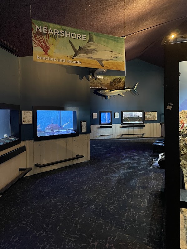 UGA Marine Education Center and Aquarium