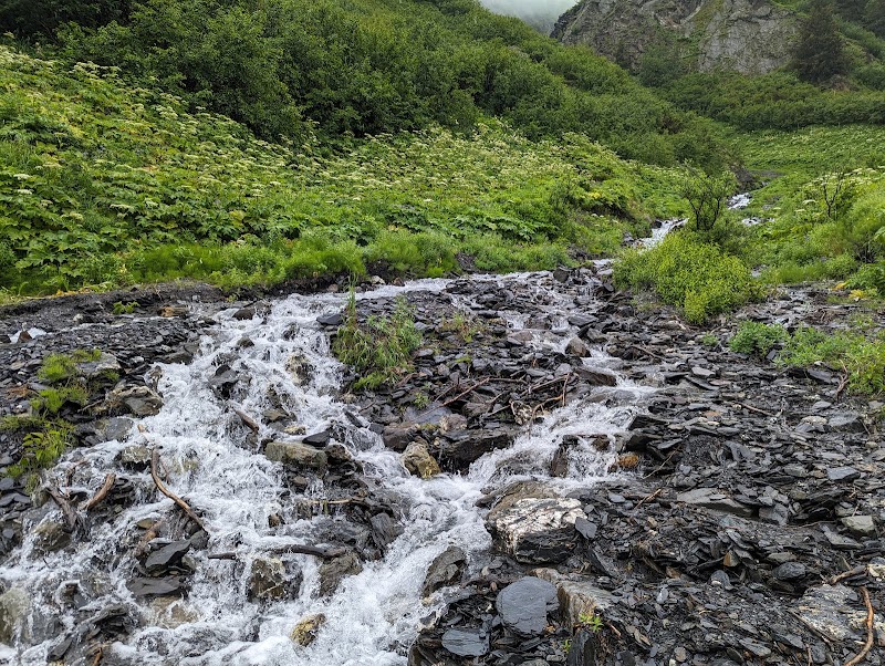 Victor Creek Trailhead