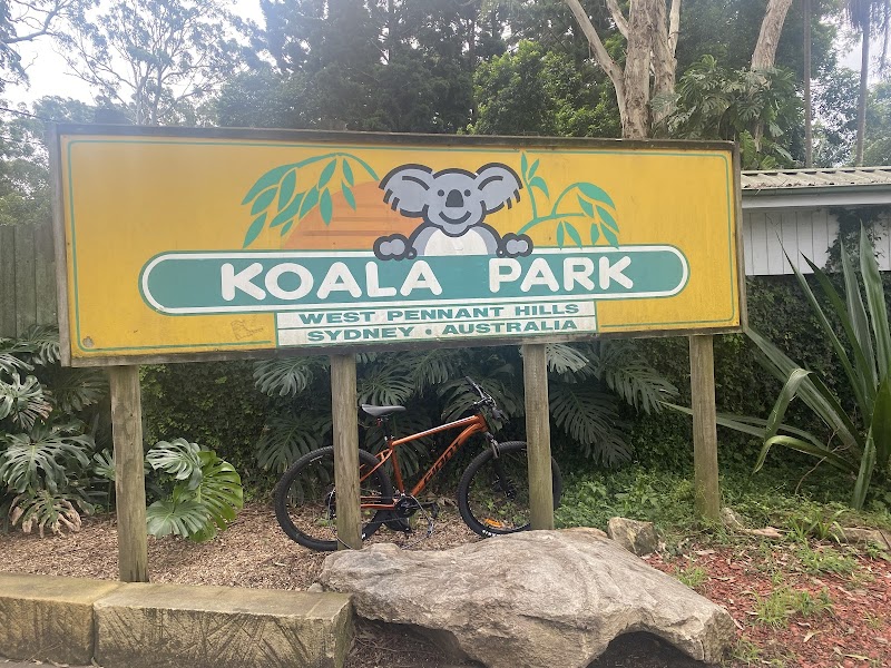 Koala Park Sanctuary Sydney