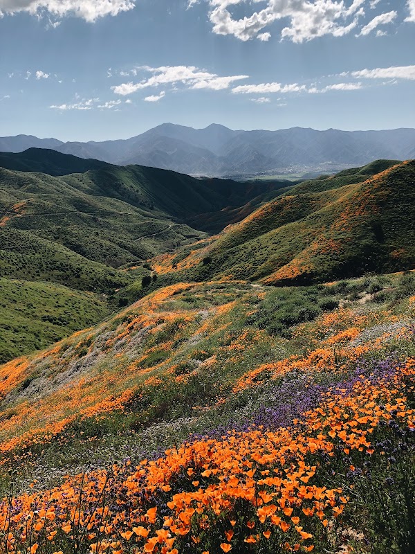 Lake Mathews Estelle Mountain Reserve