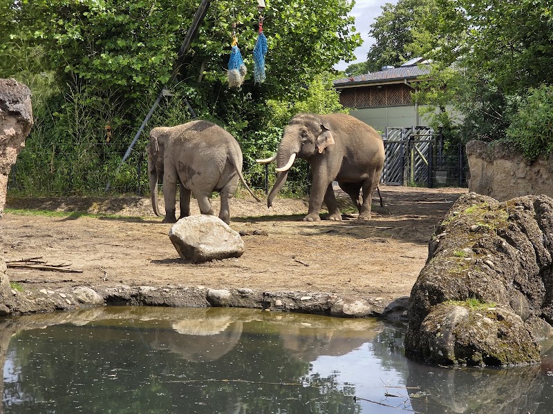Dublin Zoo