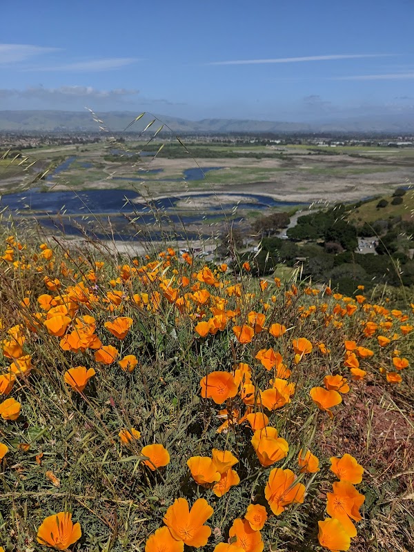 Coyote Hills Regional Park