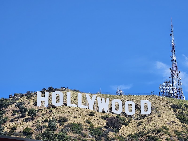 PurpDude Hollywood Walking Tours