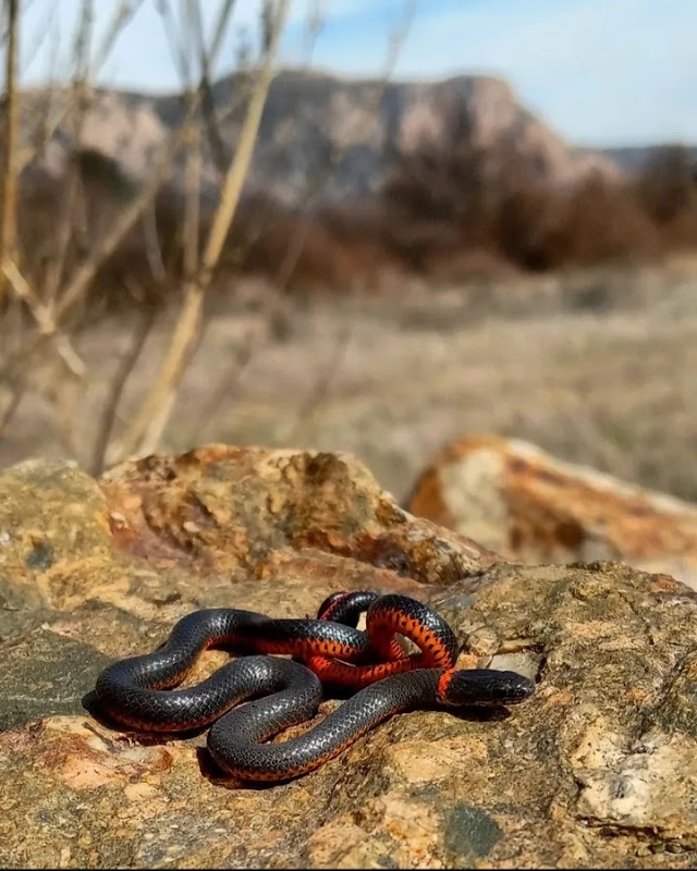 San Diego River Park Trail, El Monte Valley