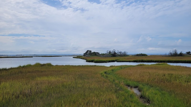 Spizzle Creek Bird Blind Trail