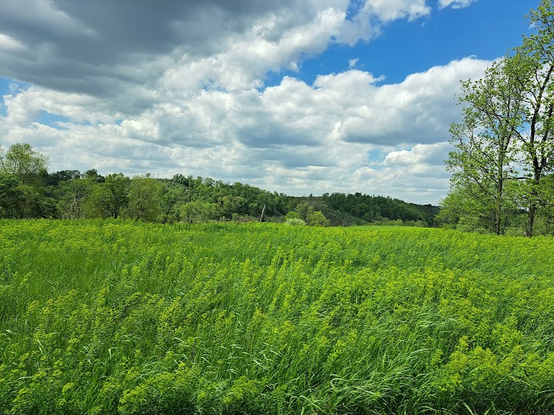 Trexler Nature Preserve.