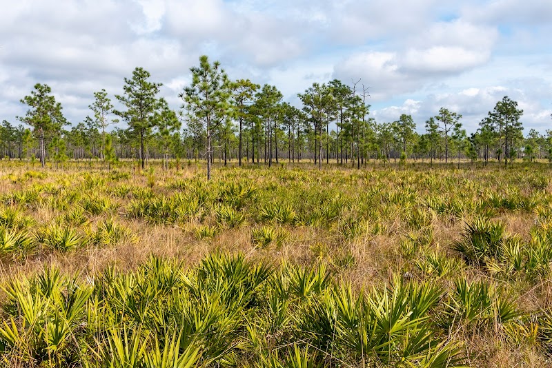 Hal Scott Regional Preserve and Park