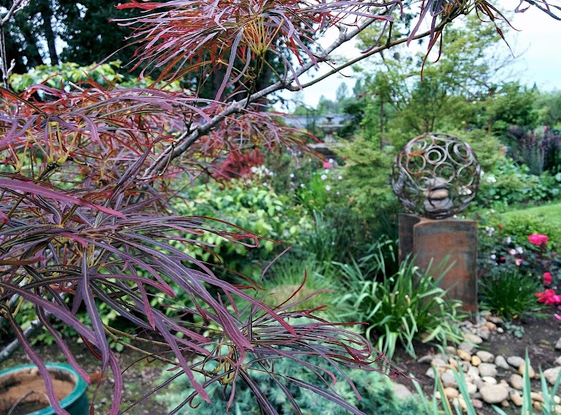 Out in the Garden Nursery