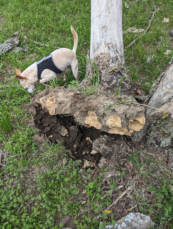 Trinity River Trails Pavillion