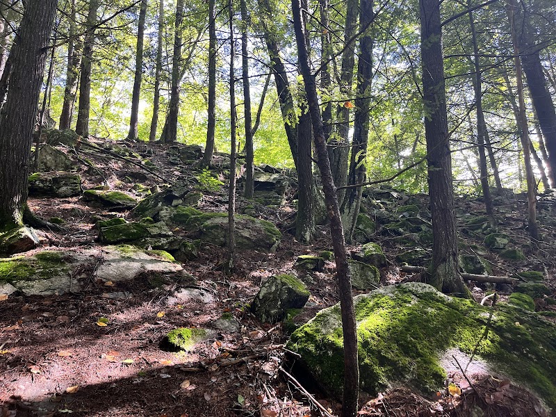 Leadmine Mountain Trail