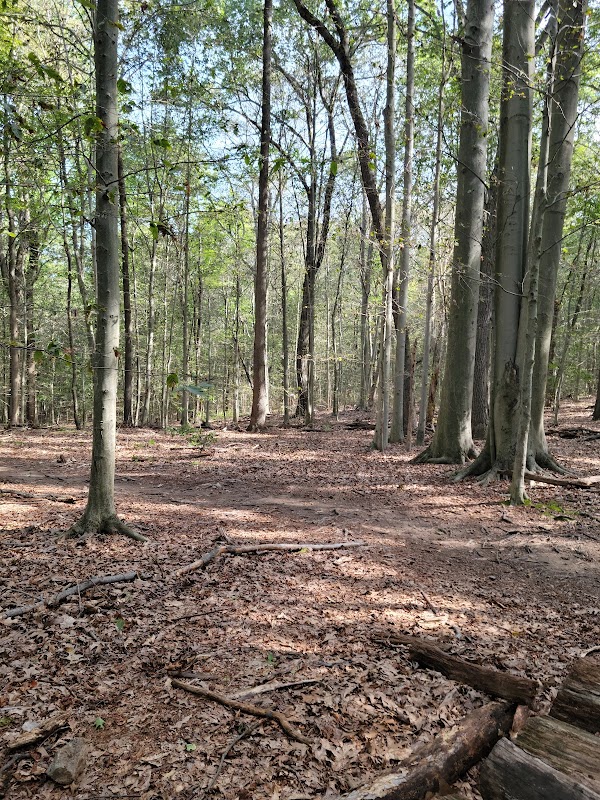 Lewis Morris Park Trail Parking Lot