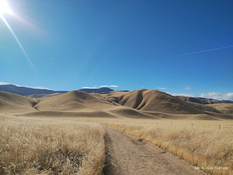 Tule Elk Trail end.