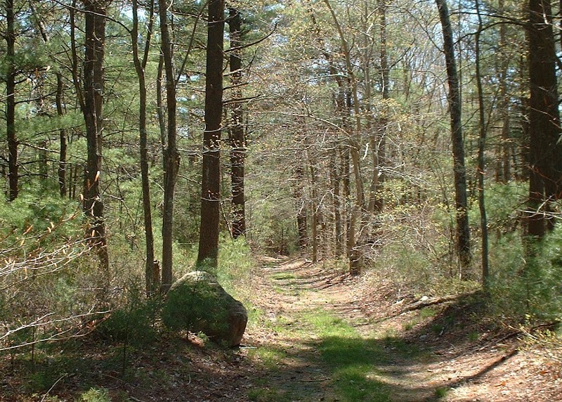 DNRT Ridge Hill Reserve