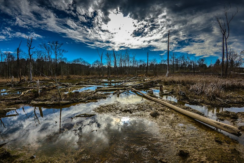 White Oak Greenway Wetlands