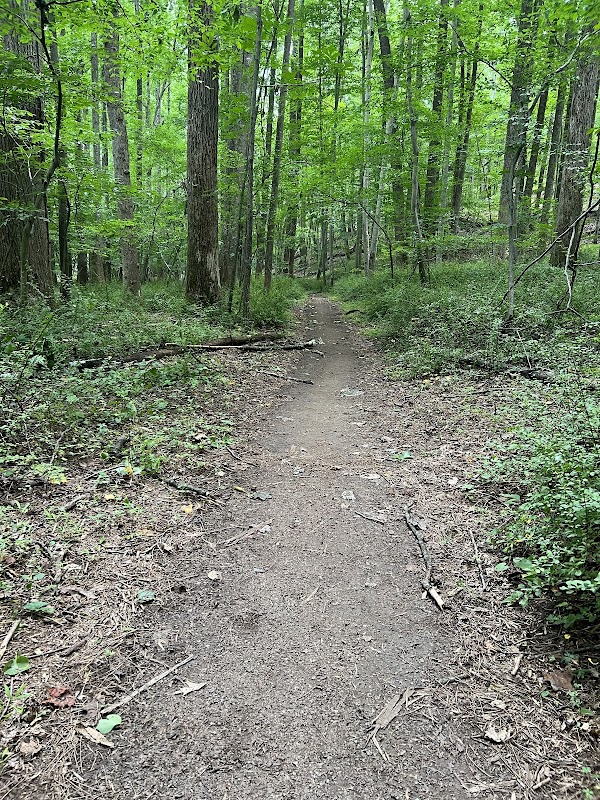 Magruder Branch Stream Valley Park