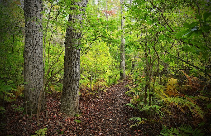 North Shore Wildlife Sanctuary