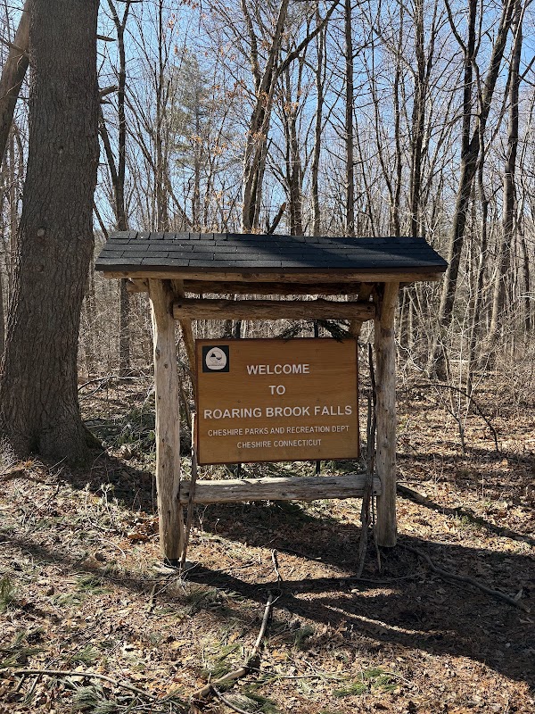 Roaring Brook Falls