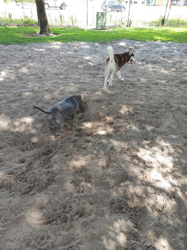 Downey Dog Park