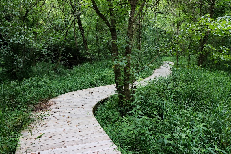 Blue Heron Nature Preserve - Emma Wetlands