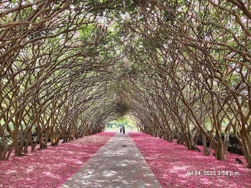 The Dallas Arboretum and Botanical Garden