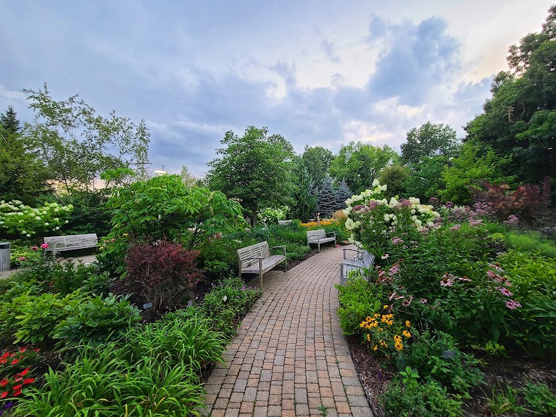 Healing Garden