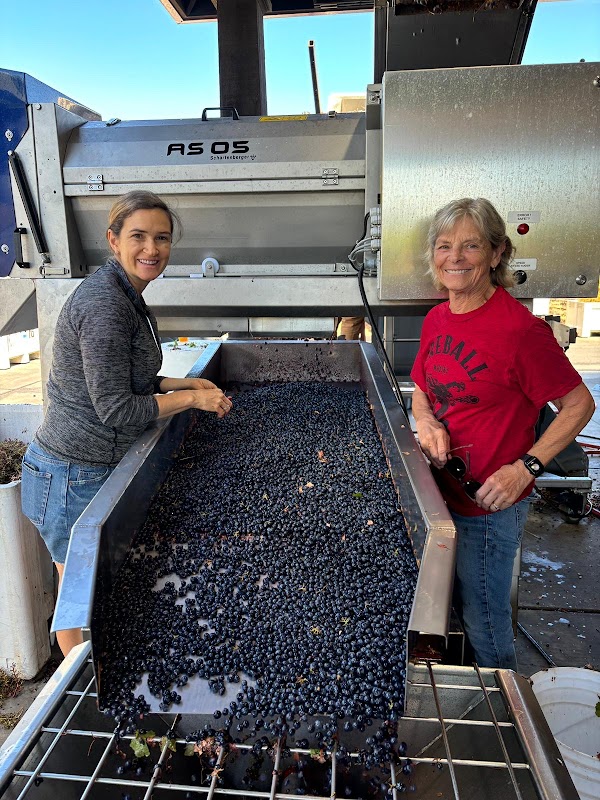 Shifflett Ranch & Vineyard