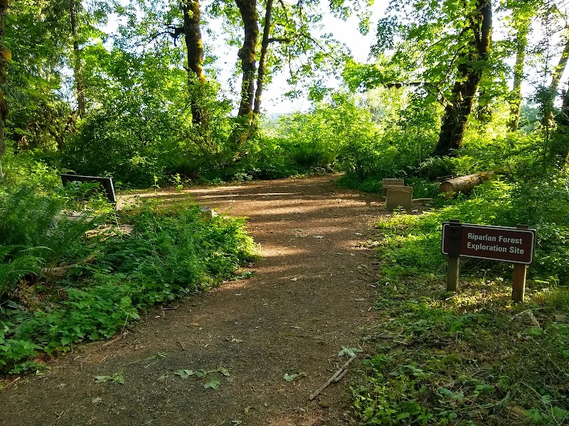 Riparian Forest Site