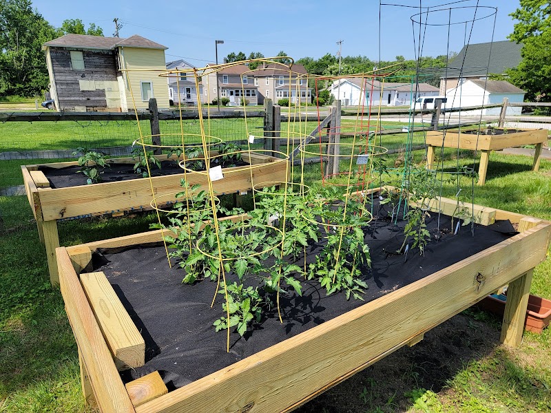 Shiloh Baptist Community Garden