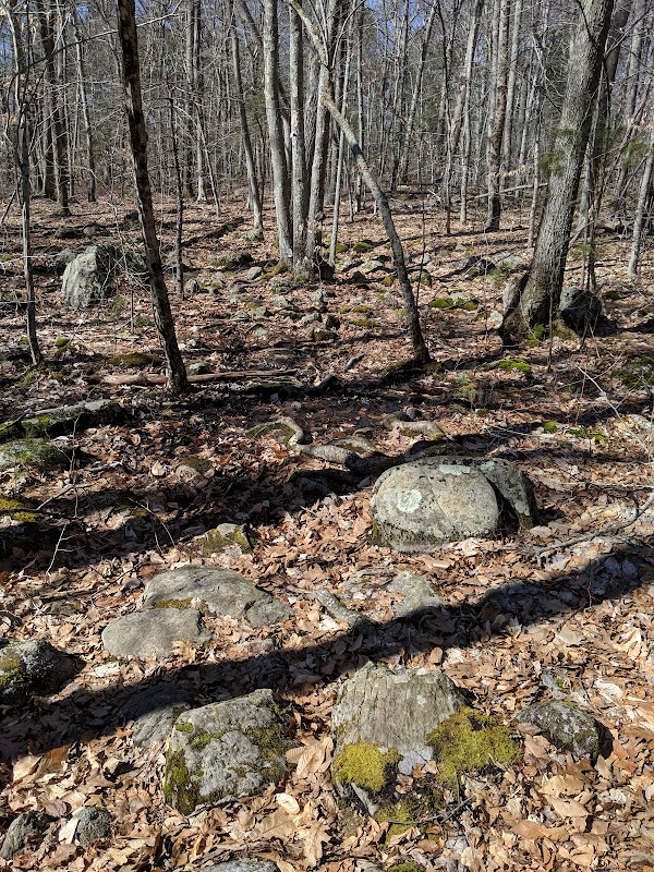 Rehoboth State Forest