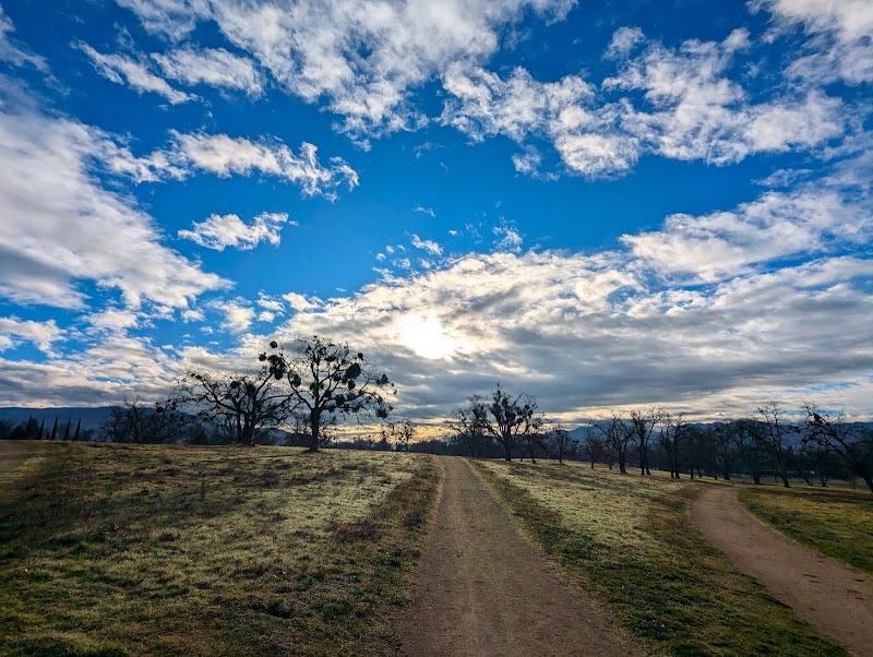 Holmes Park