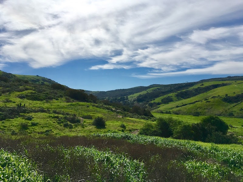 Bommer Canyon Preserve Cattle Camp