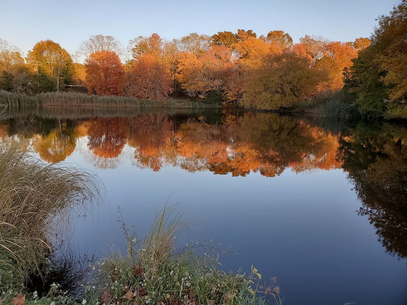 Bartlett Pond Park