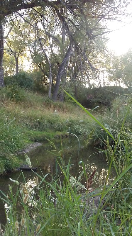 Norfolk Glen Park