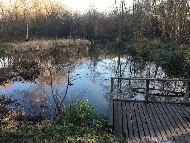 Wildern Local Nature Reserve