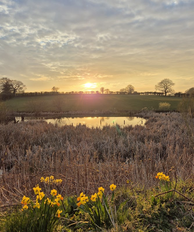 Darwin’s Walk Pond