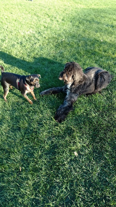 Brookdale Park & Dog Park