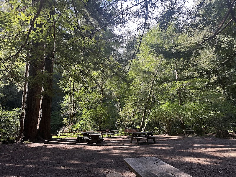 Samuel P. Taylor State Park Campfire Center