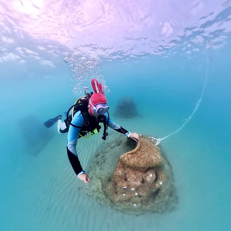 Guardians of the Reef Site 1 North Beach Park