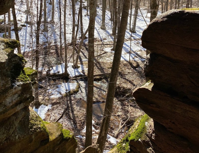 Priscilla Otte Preserve