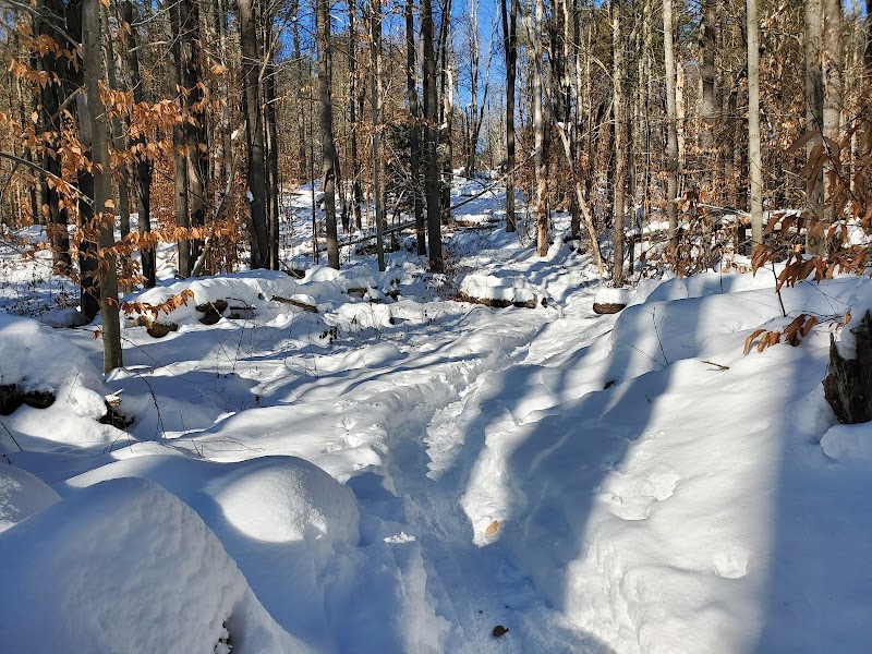 Betty Arnold Forest Desmarais Trailhead