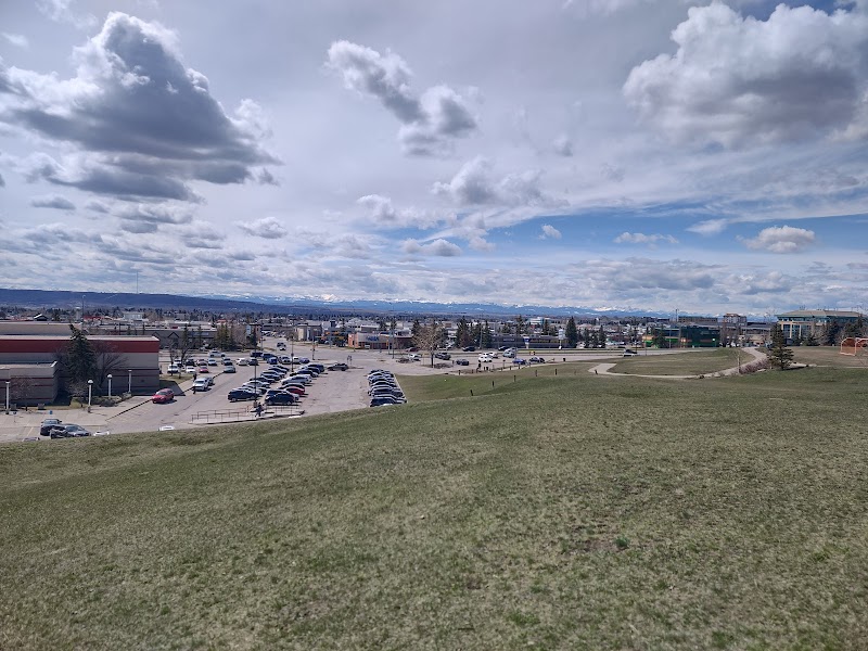 Crowfoot Park