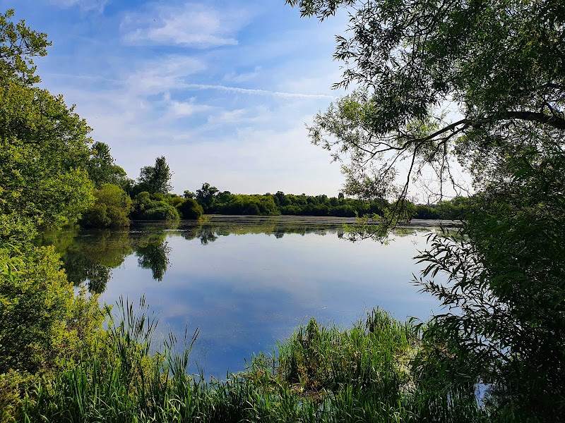 Ditchford Lakes And Meadows
