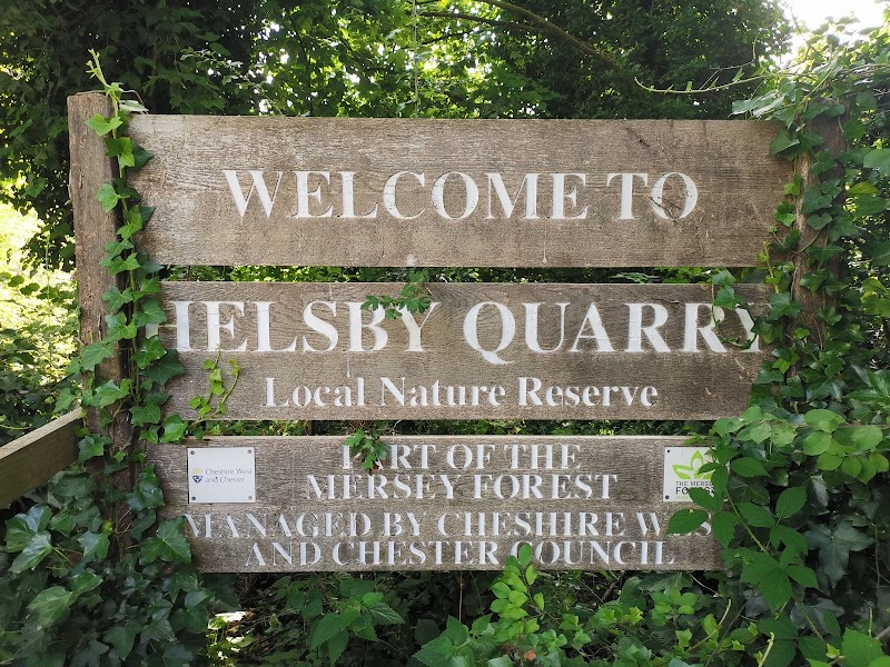 Helsby Quarry Nature Reserve